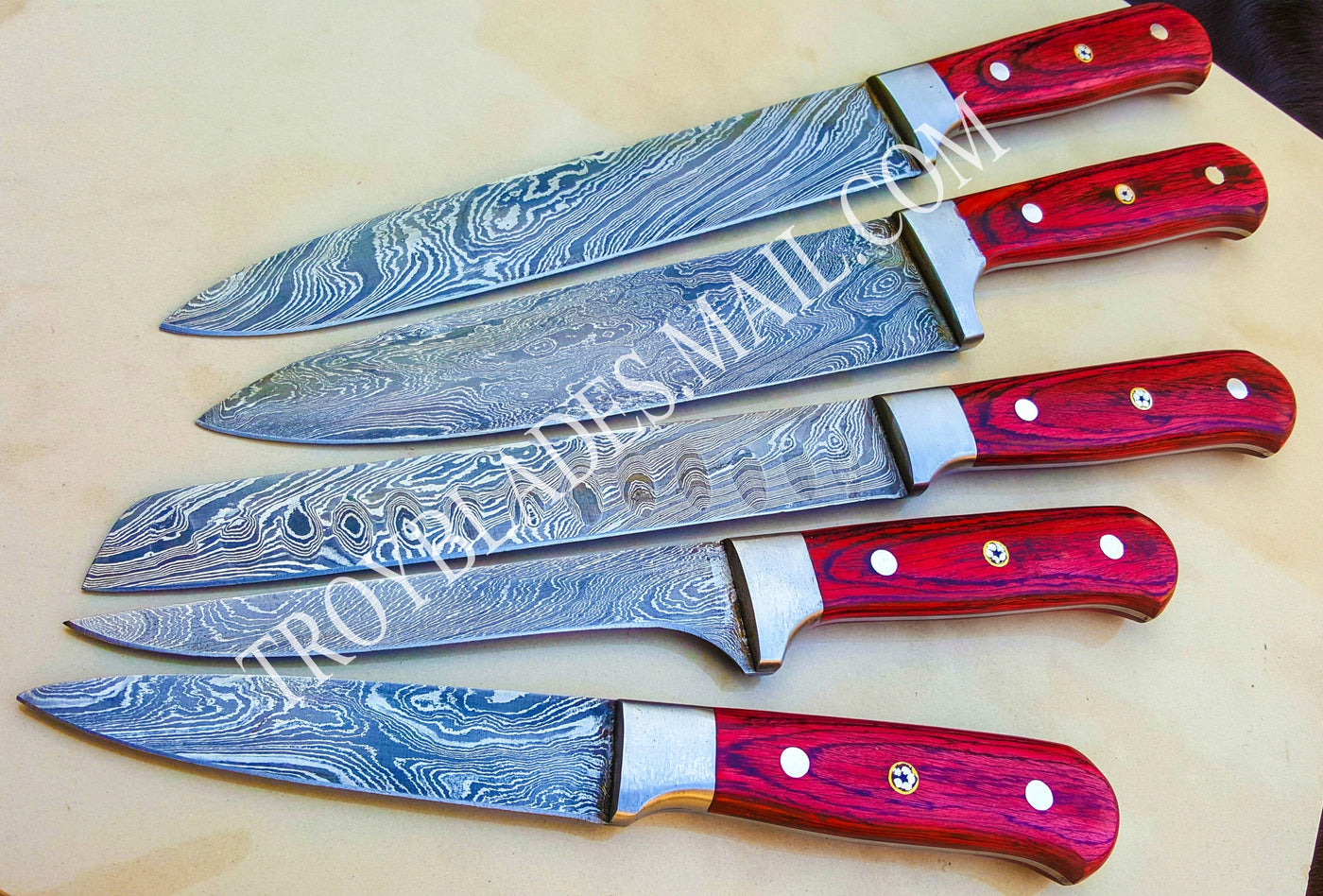 Handmade Damascus Chef kitchen and BBQ Knives Set - Troy Blades