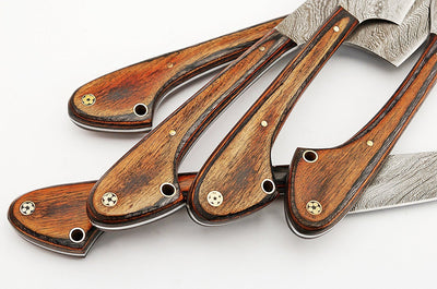 Custom Handmade Damascus steel kitchen/BBQ knives set - Troy Blades