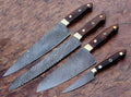 Handmade Damascus Kitchen knives set - Troy Blades