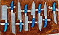 Beautiful Custom Handmade kitchen/BBq knives set 08c - Troy Blades