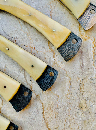 Custom Handmade Damascus Forged 1095+15n20 steels BBq Bone handle set - Troy Blades