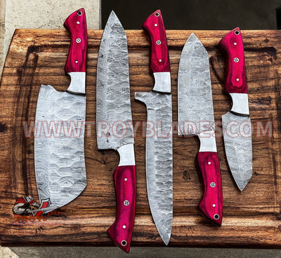 Hand Forged Custom Handmade Damascus Kitchen/BBq knives sets pro5 - Troy Blades