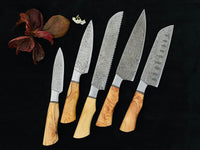 An Amazing Custom Hand Made Damascus Steel Complete BBQ/Chef/Kitchen Knife Set - Troy Blades