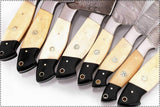 DAMASCUS BLADE HAND MADE KITCHEN/CHEF KNIFE 08 PC'S SET - Troy Blades