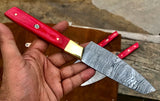 Custom Handmade Damascus Kitchen/BBQ Set S008 - Troy Blades