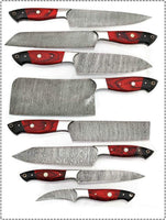 DAMASCUS BLADE HAND MADE KITCHEN/CHEF KNIFE 08 PC'S SET - Troy Blades